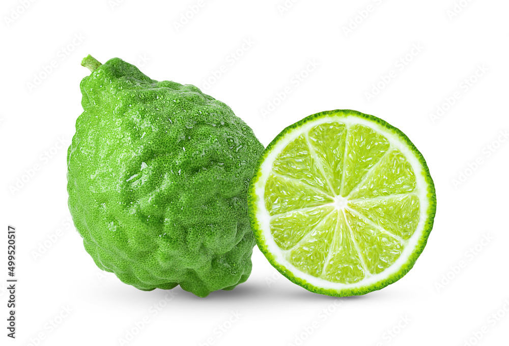 Bergamot or kaffir with drop of water isolated on white Bergamot or kaffir with drop of water isolated on white