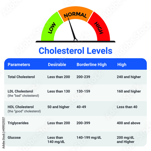 Cholesterol Levels Chart infographic
