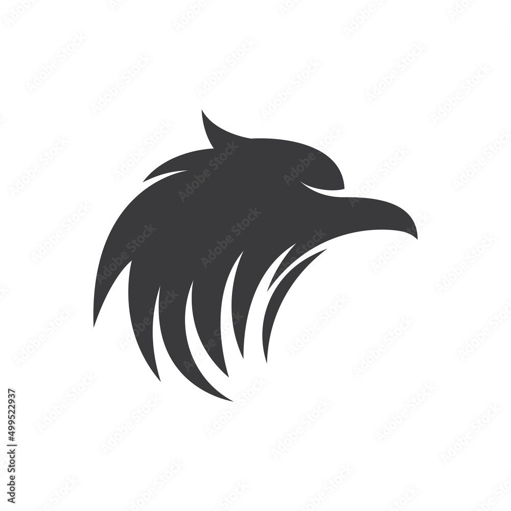 Falcon eagle bird Falcon eagle bird