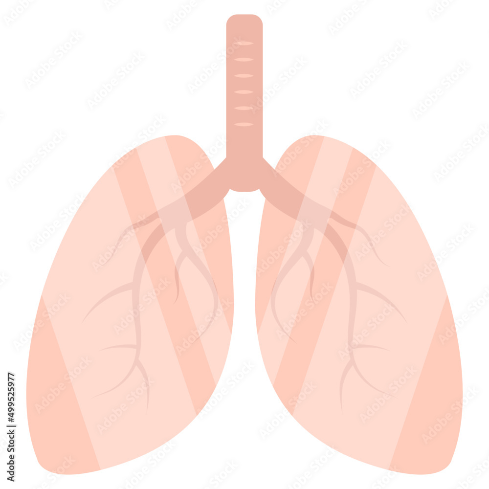 Premium download icon of lungs Premium download icon of lungs