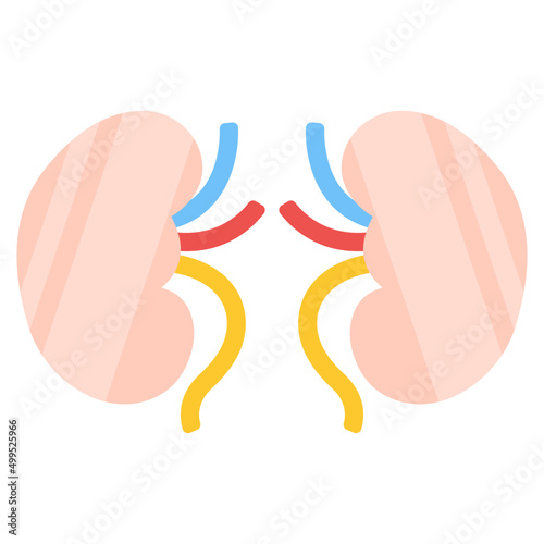 Premium download icon of kidneys