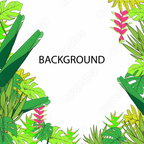 tropical graden background design. beauty tree forest. tropical garden