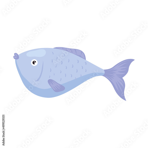 lilac sea fish