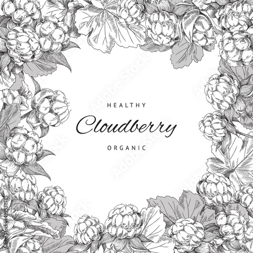 Hand drawn cloudberry frame, monochrome, vector illustration