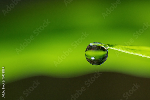 a drop of a water hanging on the edge of a leaf