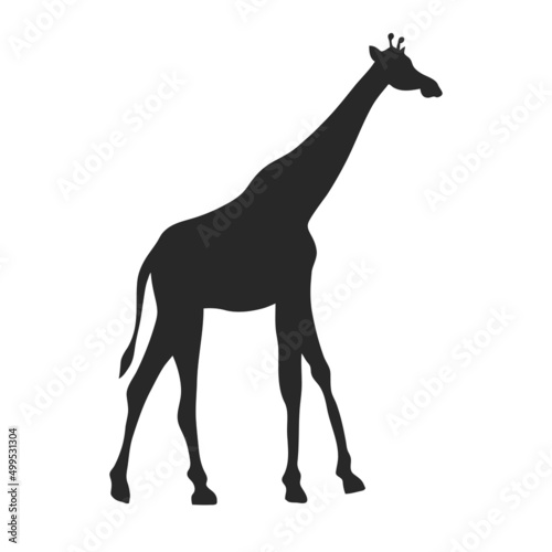 african giraffe silhouette