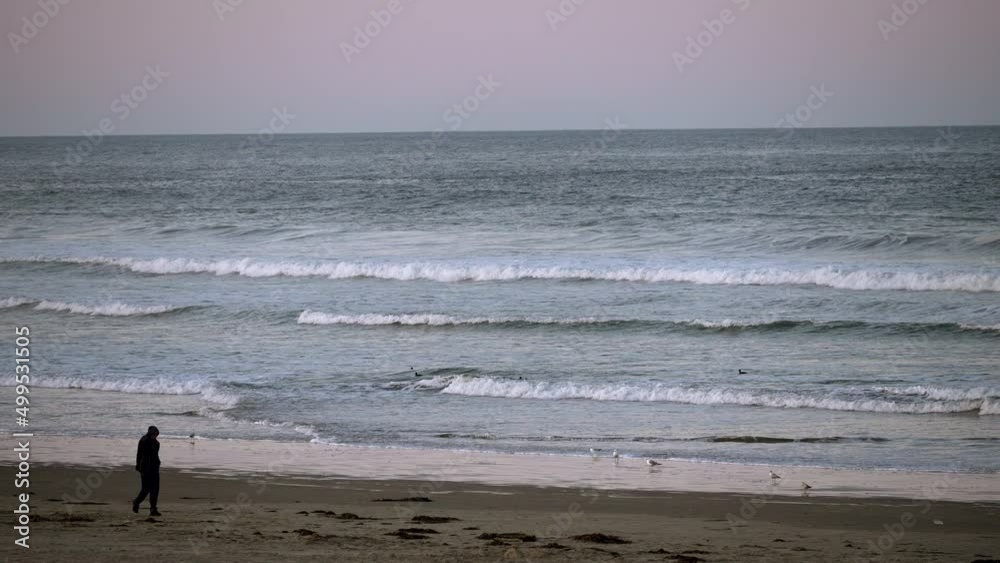 Silhouette of a person walking along the beach on a breezy day - static view with seagulls and waves Silhouette of a person walking along the beach on a breezy day - static view with seagulls and waves