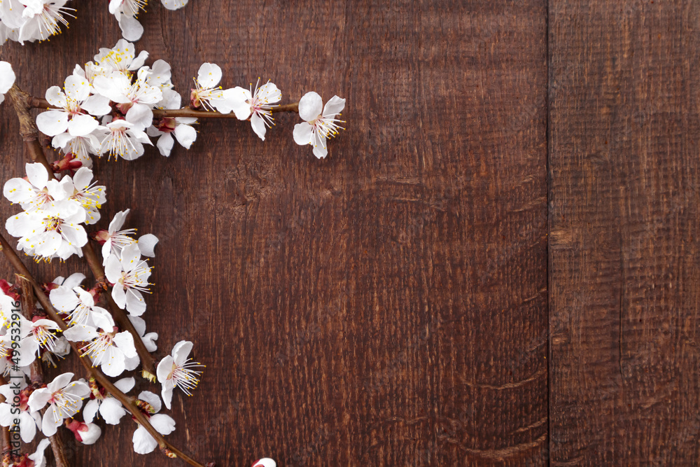 Apricot blossoms on branches on wooden background. Top view Apricot blossoms on branches on wooden background. Top view