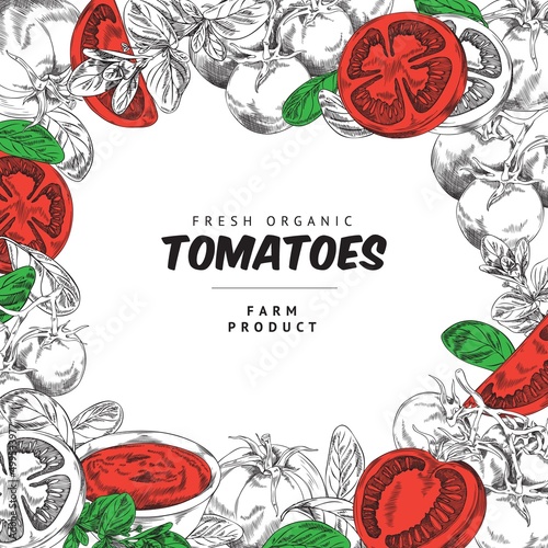 Tomatoes organic vegetables and farm production banner, vector illustration.
