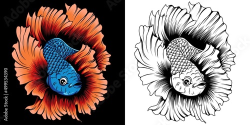 betta fish illustration in detailed style