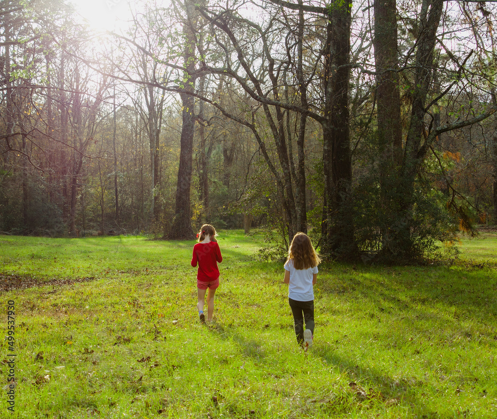 children walking through woods children walking through woods