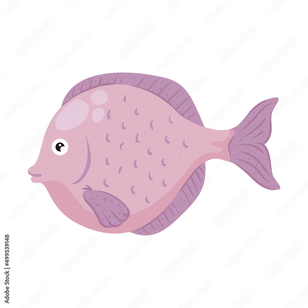 pink sea fish swiming pink sea fish swiming