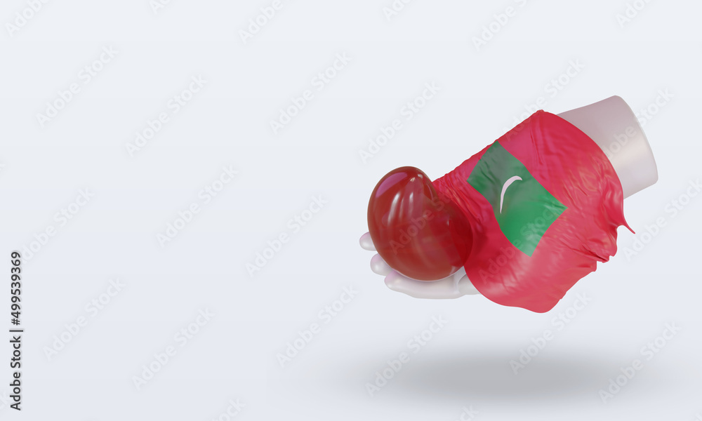 3d world blood donor day Maldives flag rendering right view