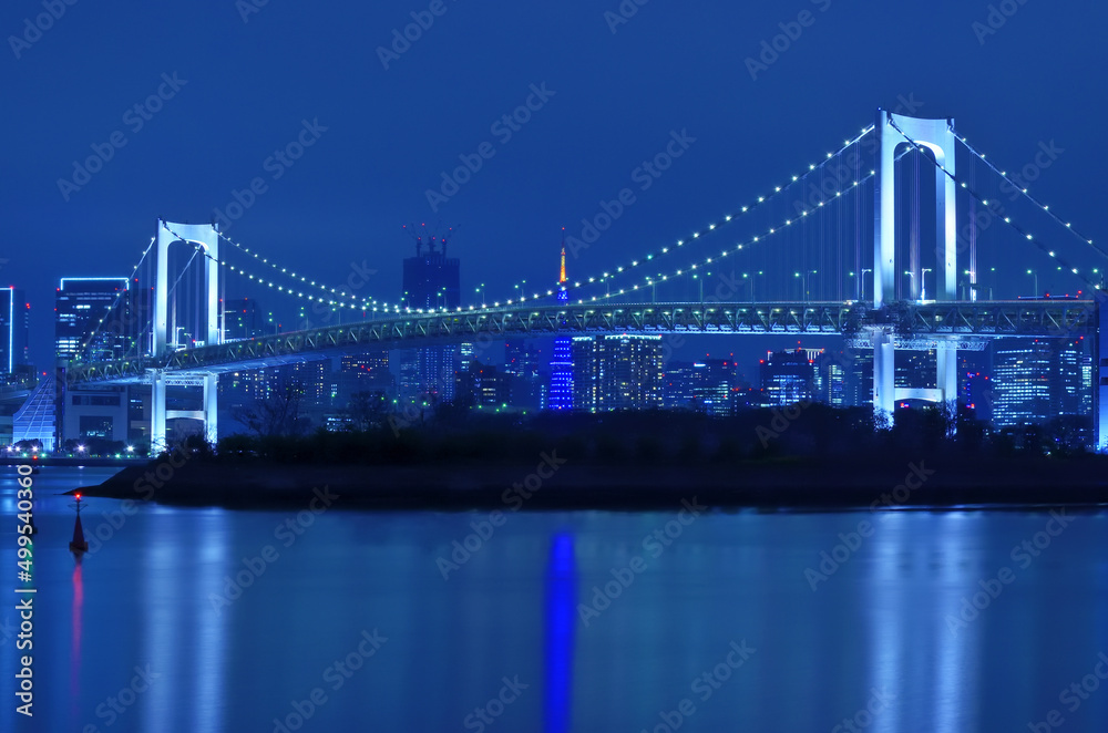 Fototapeta premium 東京都お台場から見るレインボーブリッジと東京タワーの夜景