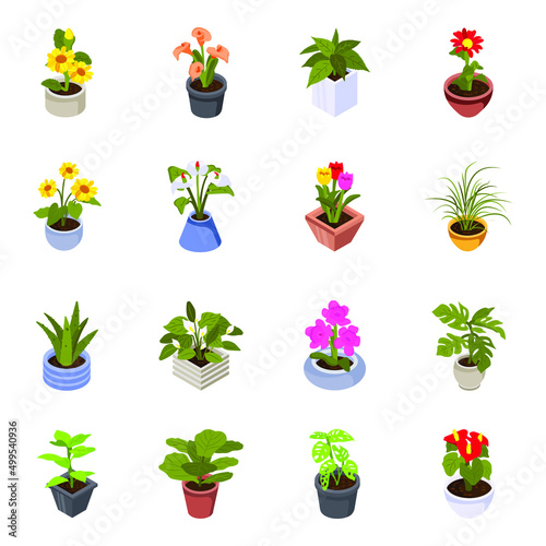 Collection of Houseplants Isometric Icons 