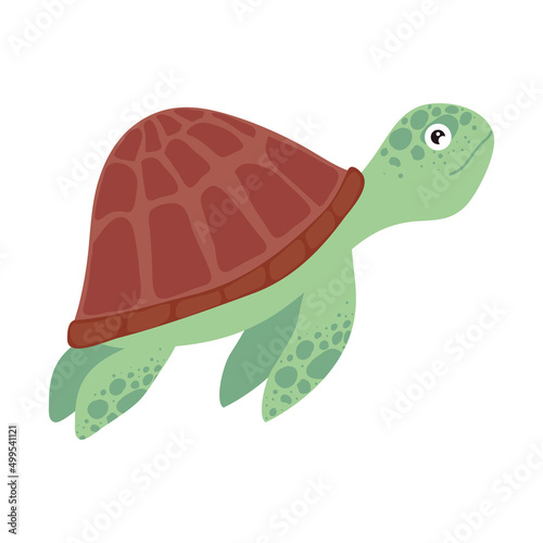 turtle animal swiming