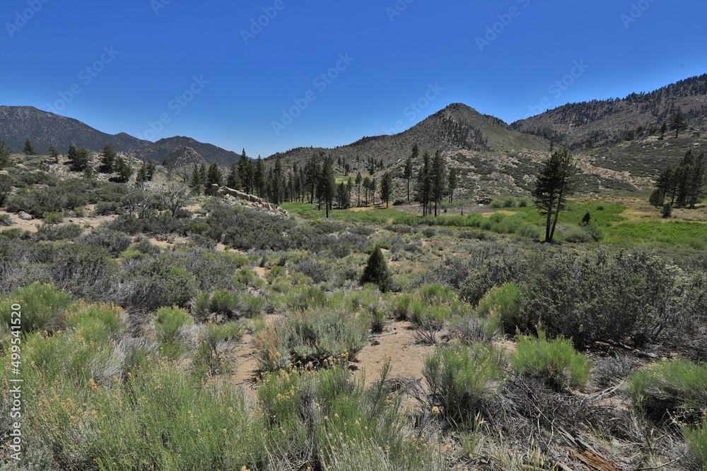 Beautiful Scenery in Sierra, Central California