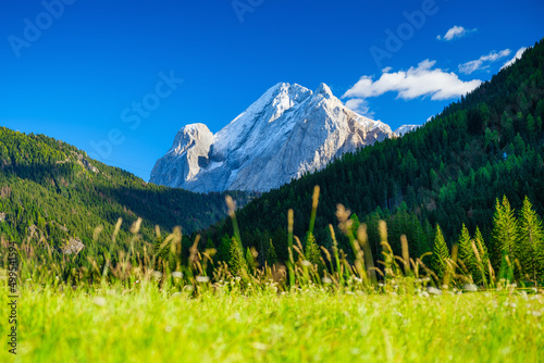 Mountains peaks, forest and meadow. Mountain range and clear blue sky. Swiss ...