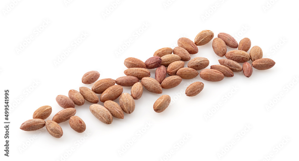 Dogwood dogwood seeds (Cornus mas) isolated on white background. Dogwood dogwood seeds (Cornus mas) isolated on white background.