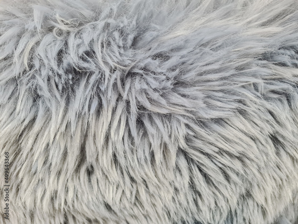 Close up of abstract gray fur background. Close up of abstract gray fur background.