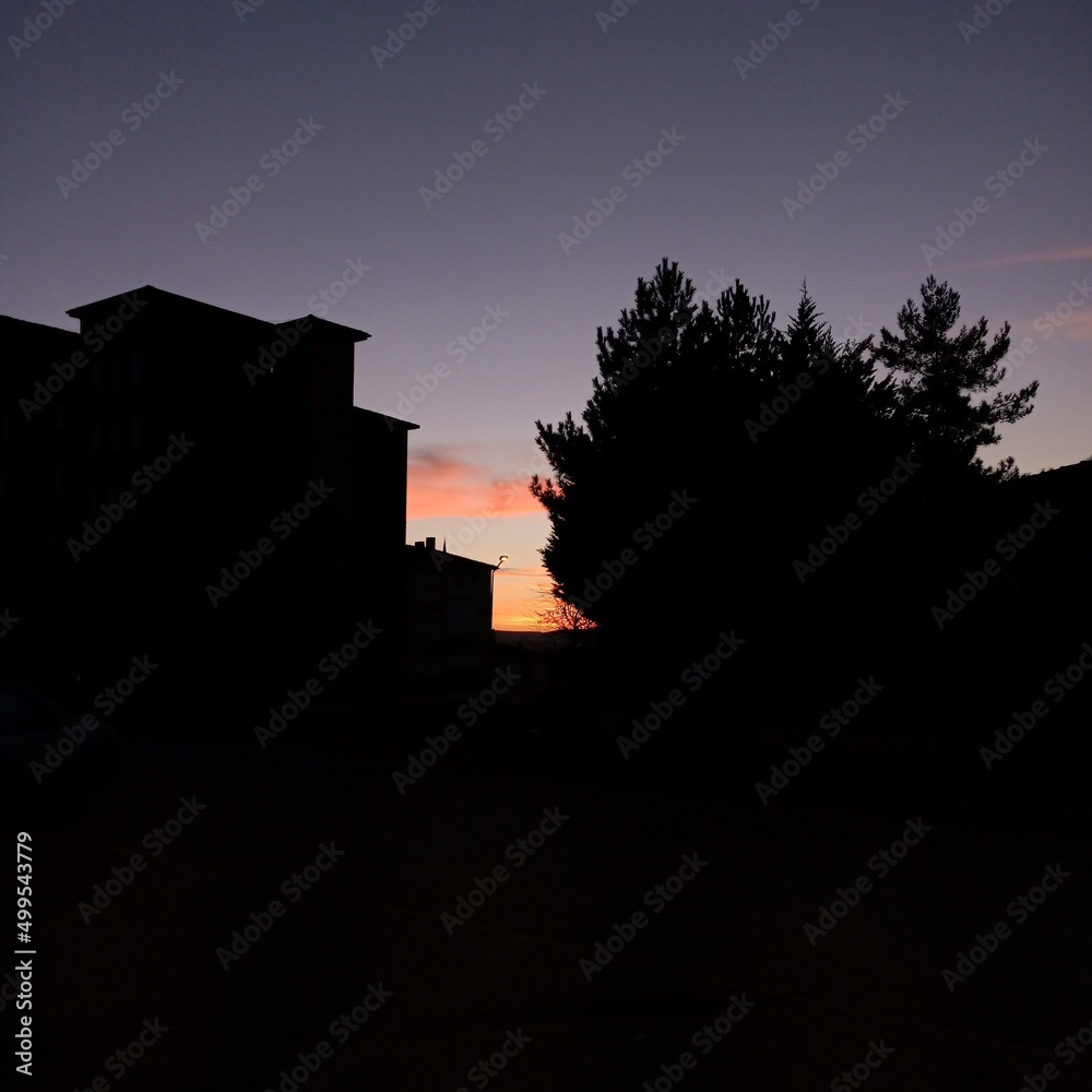 Obraz premium shadow