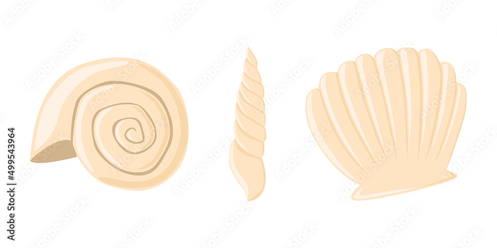 Empty seashell flat vector isolated illustration collection Empty seashell flat vector isolated illustration collection
