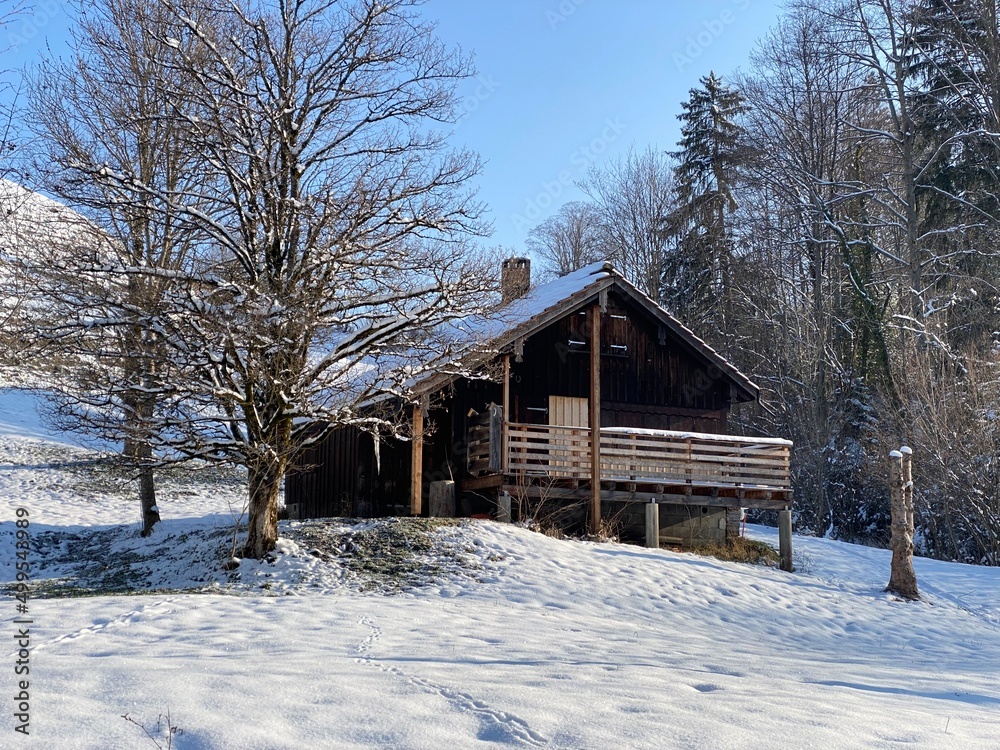 Indigenous alpine huts and wooden cattle stables on Swiss pastures covered with fresh white snow cover, Nesslau - Obertoggenburg, Switzerland (Schweiz)