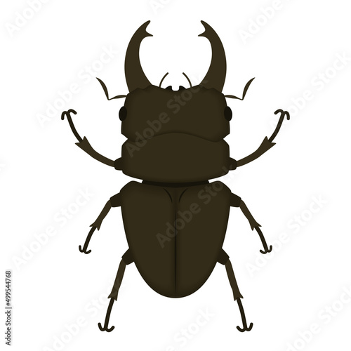 クワガタムシのイラスト Stock Vector Adobe Stock