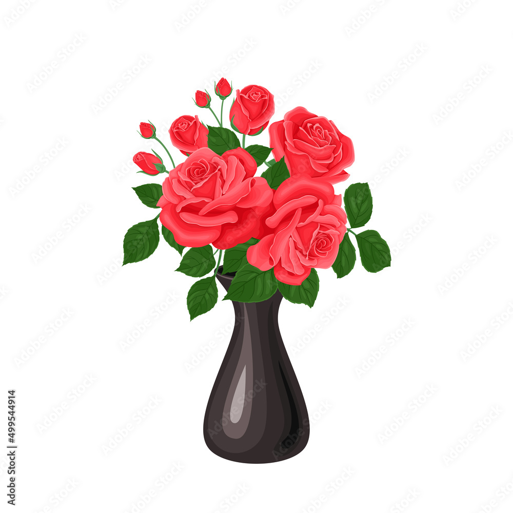 Red roses in black vase isolated on a white background. Vector ...