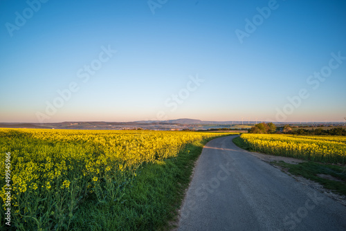 road in the field