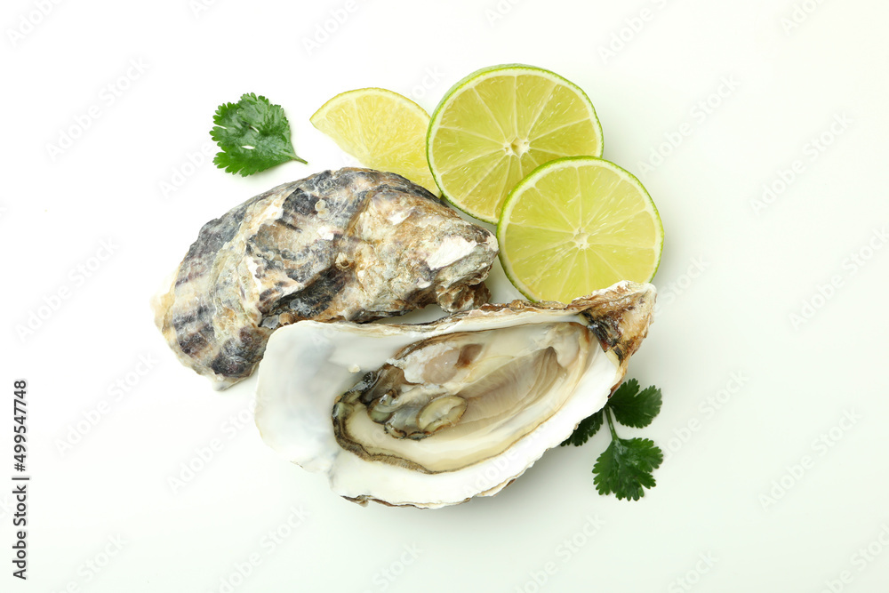 Concept of delicious seafood on white background, oyster