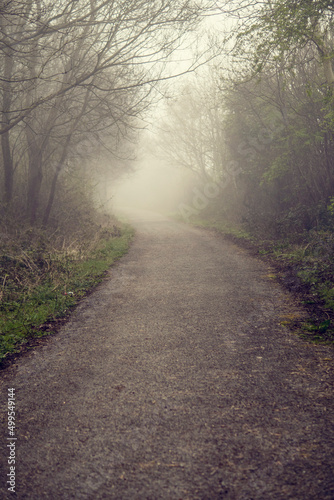 Nature scene in a park. Small foot path in a fog. Nobody. Selective focus. Calm and mysterious atmosphere.