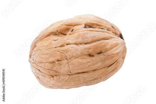 Walnut in shell isolated