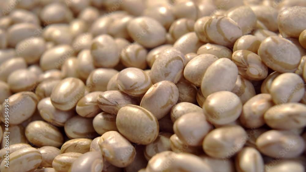 Brazilian Carioca Pinto beans close up. Uncooked popular mexican legumes. Macro. Rotation Brazilian Carioca Pinto beans close up. Uncooked popular mexican legumes. Macro. Rotation
