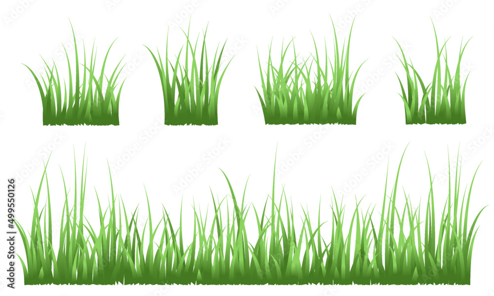 Fototapeta premium green grass set isolated on white background