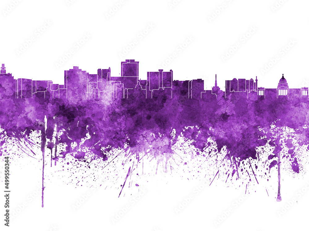 Fototapeta premium Jackson skyline in watercolor background