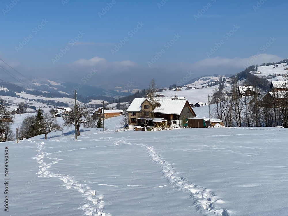 Wonderful winter hiking trails and traces on the slopes of the Alpstein mountain range and in the fresh alpine snow cover of the Swiss Alps, Nesslau - Obertoggenburg, Switzerland (Schweiz)