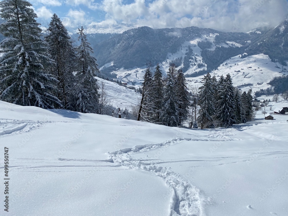 Obraz premium Wonderful winter hiking trails and traces on the slopes of the Alpstein mountain range and in the fresh alpine snow cover of the Swiss Alps, Nesslau - Obertoggenburg, Switzerland (Schweiz)