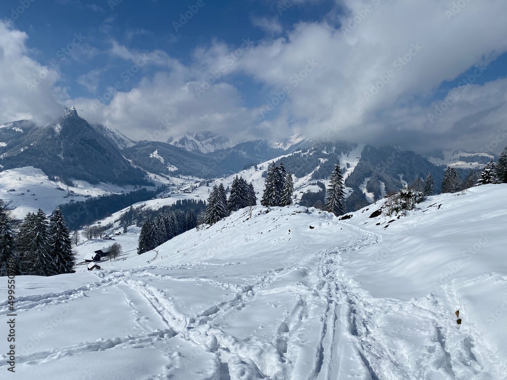Fototapeta premium Wonderful winter hiking trails and traces on the slopes of the Alpstein mountain range and in the fresh alpine snow cover of the Swiss Alps, Nesslau - Obertoggenburg, Switzerland (Schweiz)