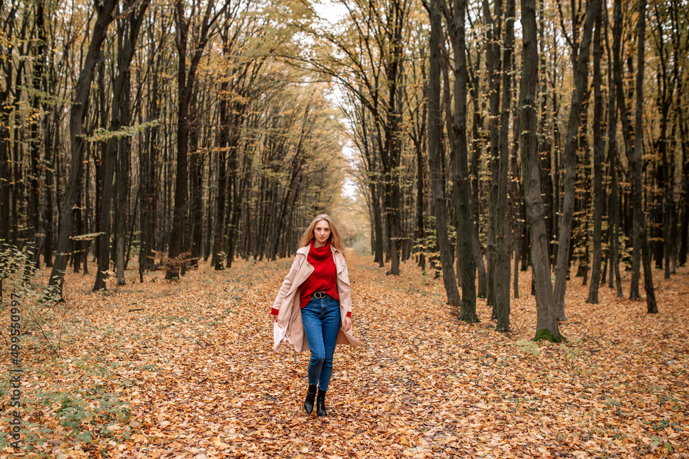 Beautiful girl, girl in a coat, girl in the woods Beautiful girl, girl in a coat, girl in the woods
