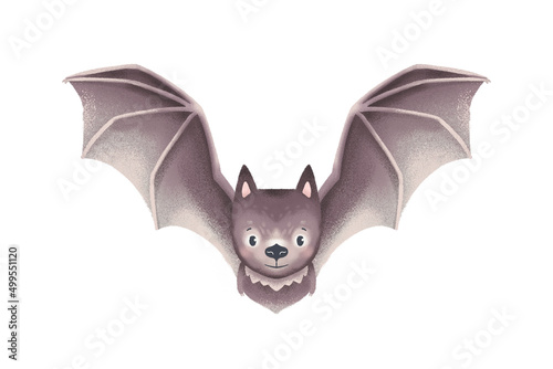 Bat illustration on white background.