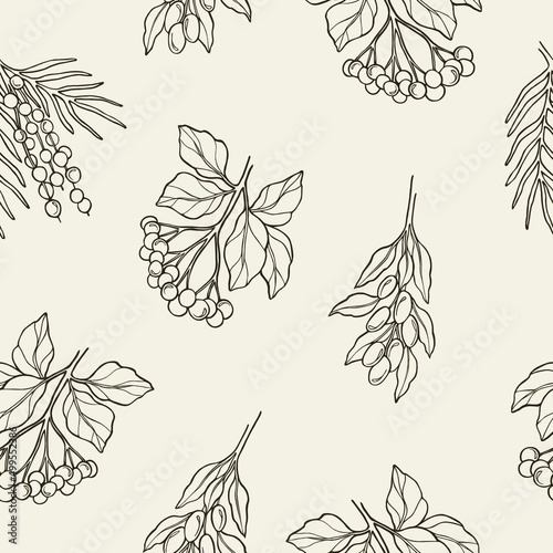 Hand drawn acai, elderberry, goji seamless pattern photo