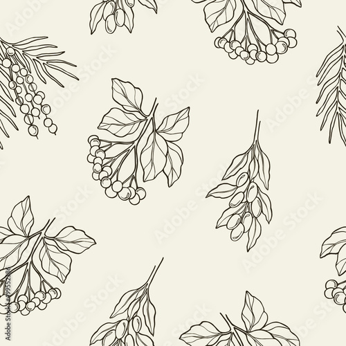 Hand drawn acai, elderberry, goji seamless pattern