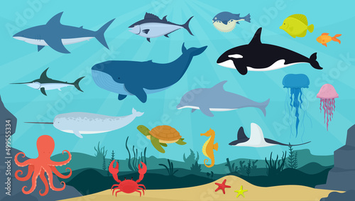 Vector set of ocean animals and fish. Underwater world. Shark, dolphin, narwhal, blue whale, octopus, sperm whale, swordfish, killer whale.