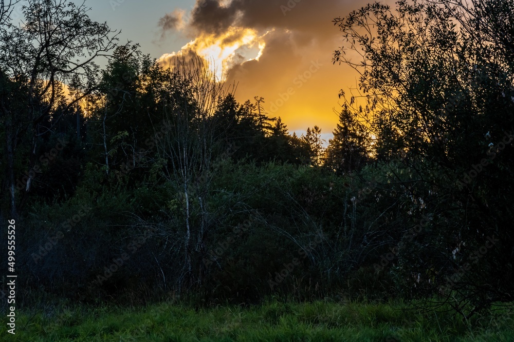 Dramatic vibrant sunset scenery in Portland, Oregon Dramatic vibrant sunset scenery in Portland, Oregon