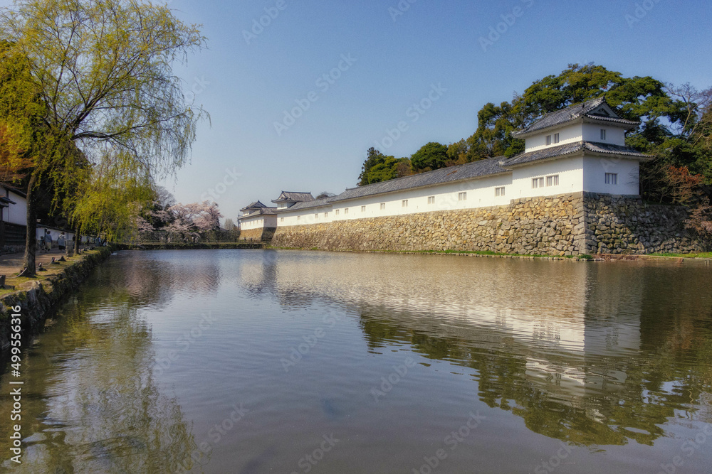 滋賀県彦根市の佐和口多聞櫓（開国記念館）と春の風景です