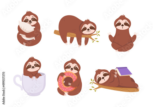 Sloths. Cute lazy sloths relax on branches wild animals in action poses baby hanging trees asleep characters exact vector cartoon pictures