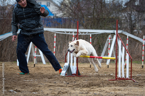 a guy runs with his dog at agility training