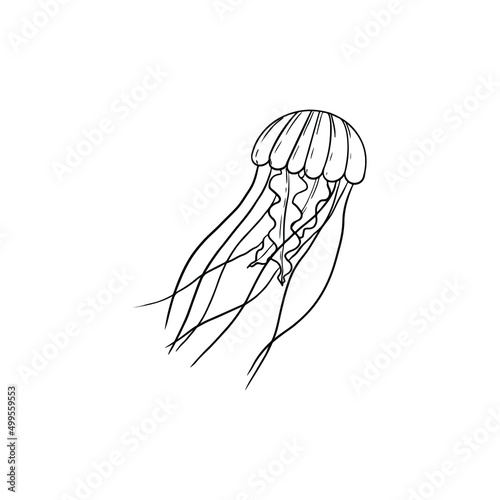 Single vector element isolated on white background. A jellyfish
