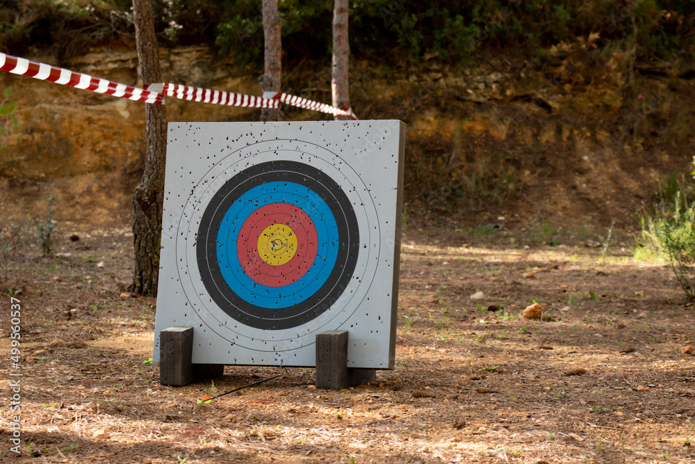 Archery range in the woods. Shooting target full of holes from arrow